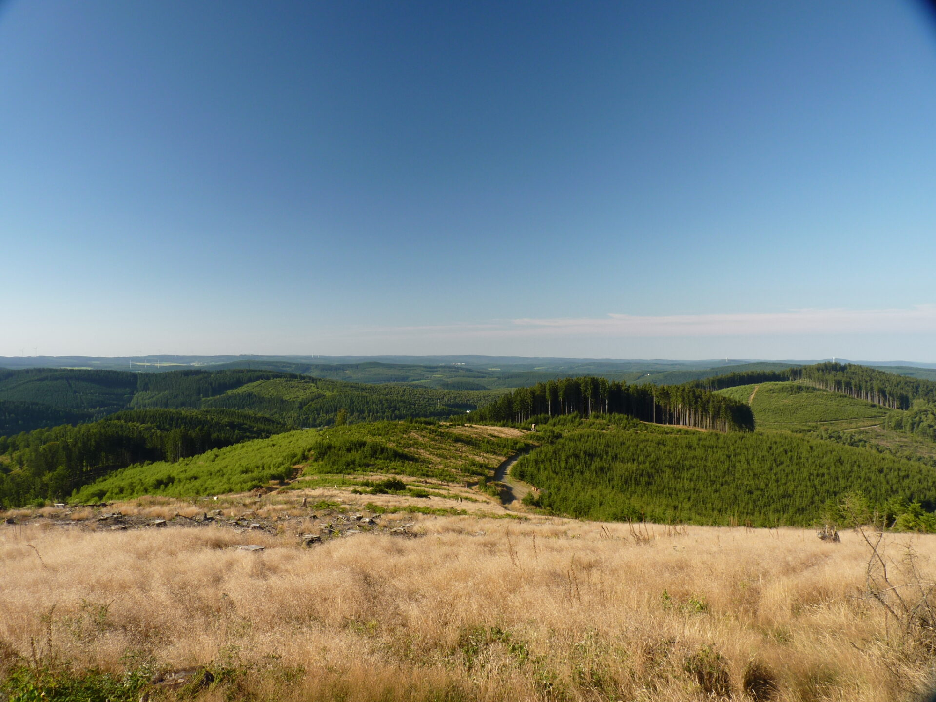 Netphen-2 Aussicht vom Schüffel bei Netphen-Eschenbach